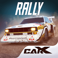 CarX Rally 29105