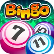 Bingo 1.13.22