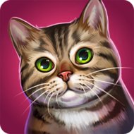 CatHotel 2.0.17143