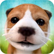 Dog Simulator 2.2.3