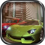 Real Driving 3D 1.6.1