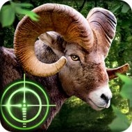 Wild Hunter 3D 1.0.6